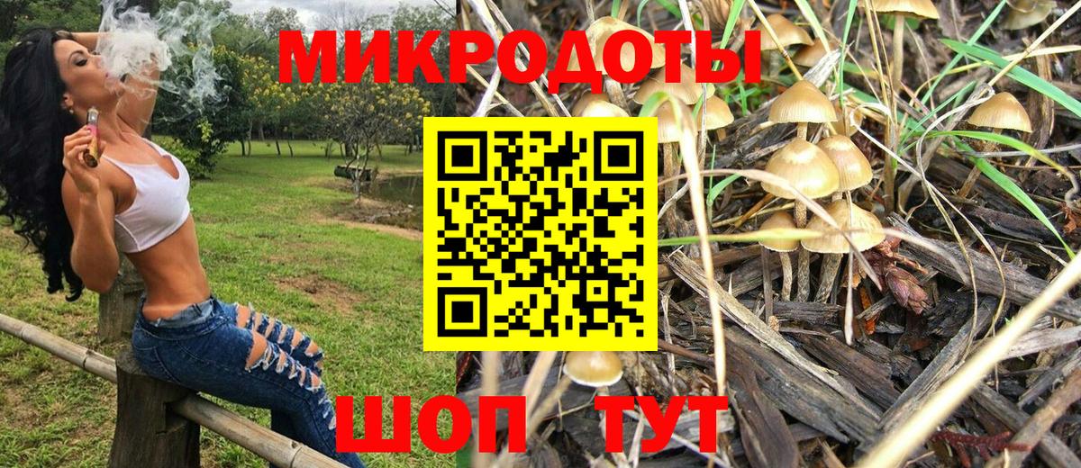 Псилоцибиновые грибы прущие грибы  продажа наркотиков  Зима  Вход с VPN 